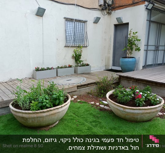 שני עציצים גדולים עם צמחים ופרחים על דשא